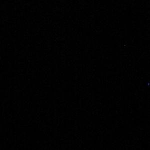 Meet your Posher, Rosa